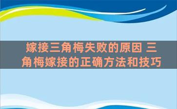 嫁接三角梅失败的原因 三角梅嫁接的正确方法和技巧